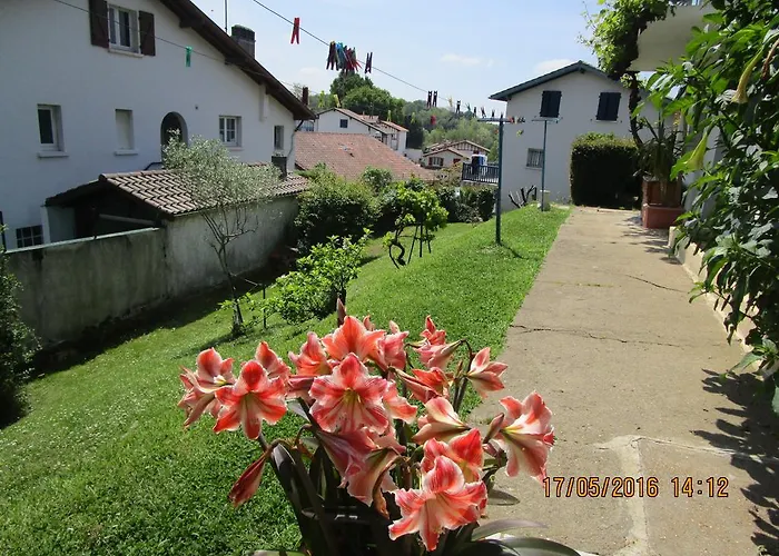 Appartement Bigarena